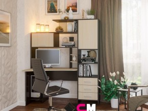 Компьютерный стол №6 в Верхней Пышме - verhnyaya-pyshma.magazinmebel.ru | фото