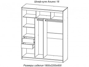 Шкаф-купе Альянс 18 комплект зеркал №4 в Верхней Пышме - verhnyaya-pyshma.magazinmebel.ru | фото - изображение 2